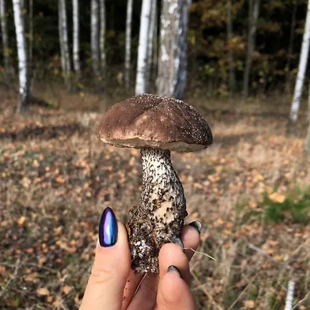 Czerwony Nad Samym Jeziorem Nyaraló