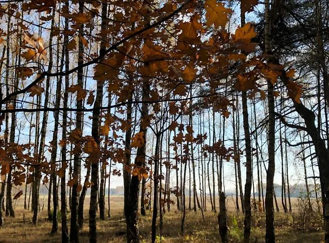 Czerwony Nad Samym Jeziorem Prázdninový dům *