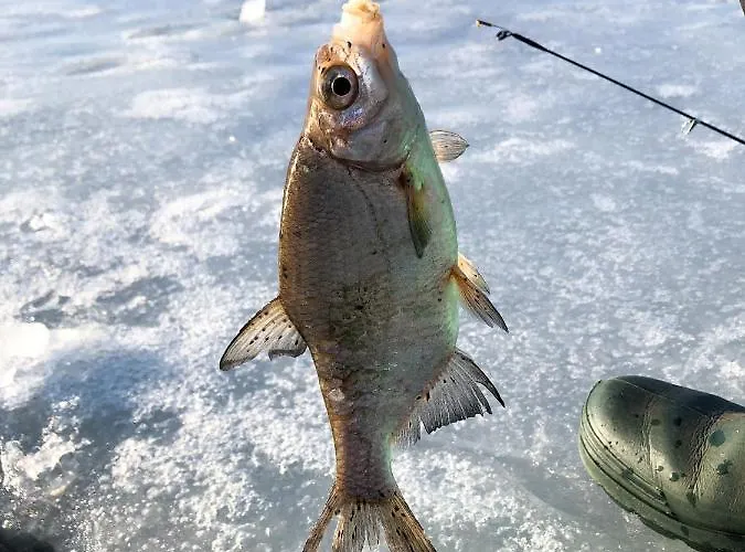Czerwony Nad Samym Jeziorem Prázdninový dům