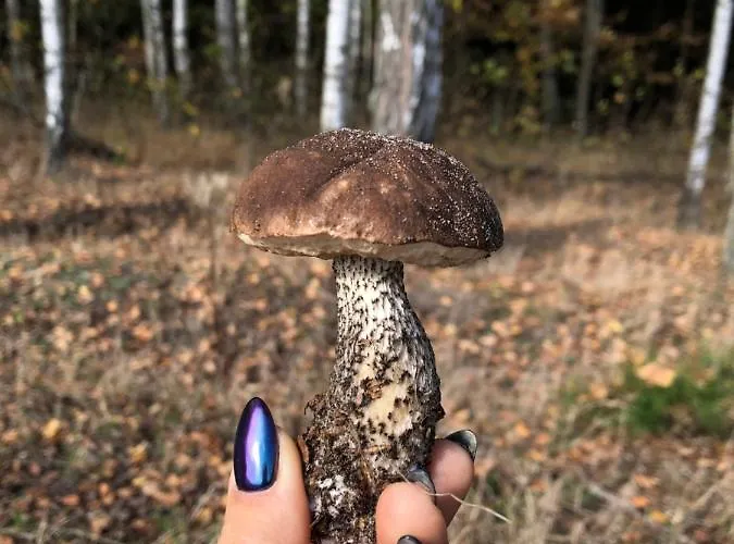 Czerwony Nad Samym Jeziorem Prázdninový dům